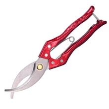 ����h��h�е���֦�h�ѿ�ӄ�Ƥ�h�������ٰl�޽Ӷ๦�ܼ�֦