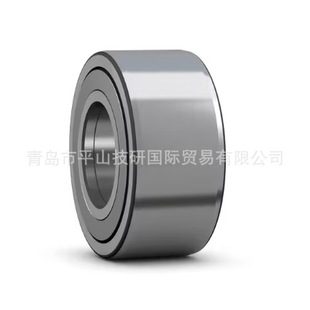 Japan Ina Bearing with Shaft Guide Type Natv25-Pp-A
