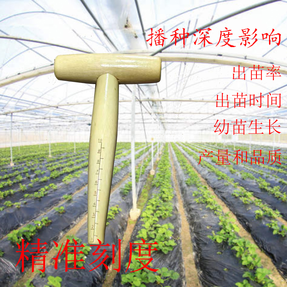 园艺打洞器 T型施肥种菜种子移苗种植工具木柄园林追肥打孔器批发
