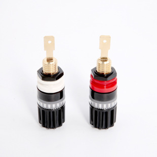 551���~�Ӿ���僽�����푓P���B�������lҕ�l�B�����S�����l