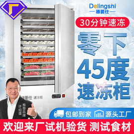 食品速冻柜商用包子冰柜低温海参速冻机小型冰箱速冻冷柜家用冷柜