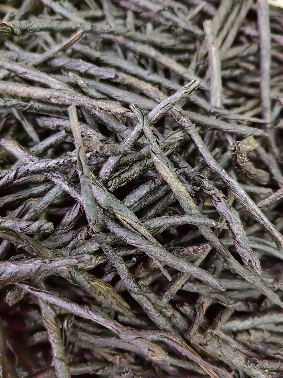 Ku Ding Tea (Ilex kudingcha) — Large & Small Leaf Bitter Herbal Tea, 500g in use