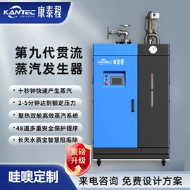 蒸汽发生器;燃气锅炉