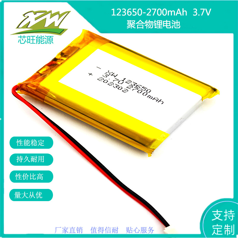 123650-2700mAh 3.7V 对讲机 化妆镜暖手宝医疗器械投影仪 锂电池