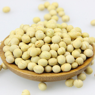 �͜غ決���S�� 5��/�� ���ĥ��ԭ��