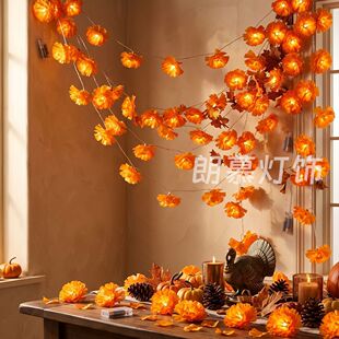 �羳led�f�}���f�۾՟��������՟������Շ��ջ��b�ī�������