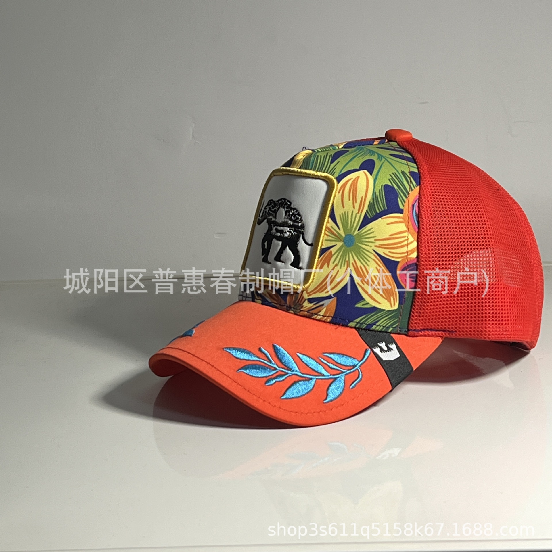 오렌지 아프리카 코끼리