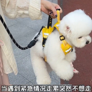 Dog Leash Small and Medium-Sized Dog Vest-Style Dog Walking Leash Bichon Teddy Pet Harness Dog Chain Adjustable