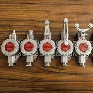 ���P�IIC �����г��_�P