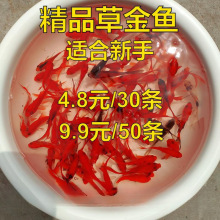 С���~�ˮ�^�p�~����wС�~����ˮ�~��С�\�����P�������Lˮ�~