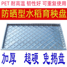 ˮ�������P����C���бP����P�Ӻ�79�������L�����֒���Ѩ�P���