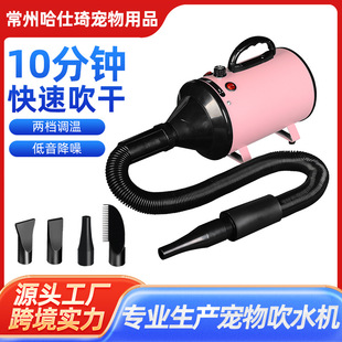 New cross-border pet blower speed adjustable blower beauty dryer with nozzle dog blowing artifact