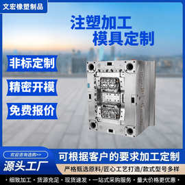 注塑模具加工定 制模具开 模导轨卡扣水龙头模具加工来图来样