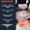 W490 fruit juice abdomen sticker-random 1 card