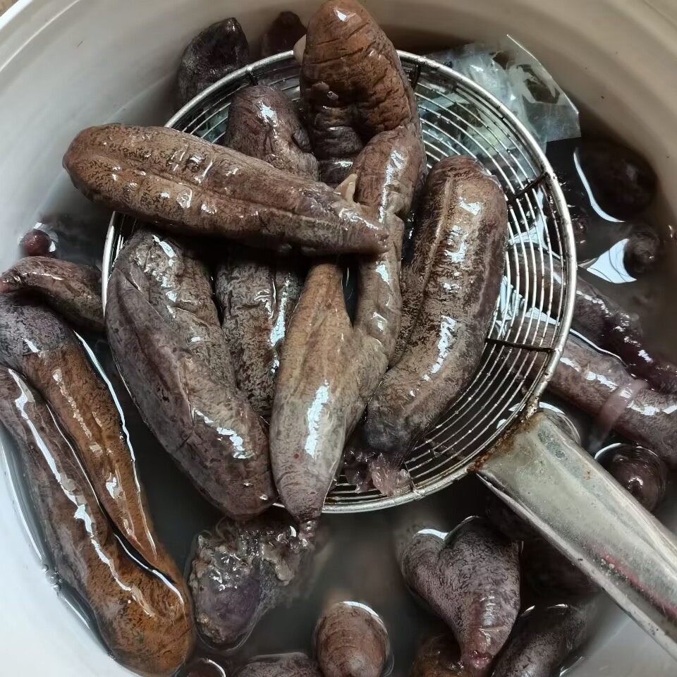 QQ图片20230616102133