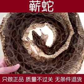 大蕲蛇五步蛇干八步蛇整条包邮眼镜蛇蝮蛇白花蛇泡酒原料