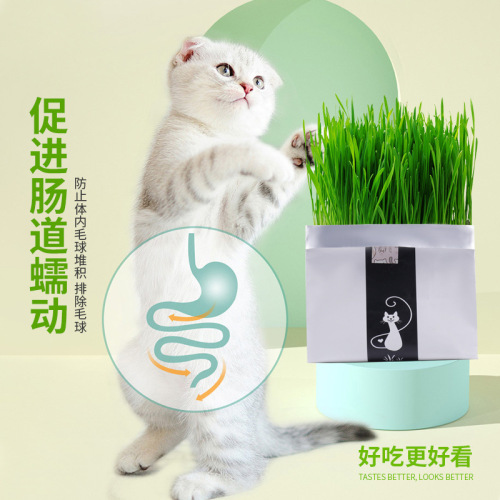 Manufacturer wholesale cat grass wheat seeds potted cats ready-to-eat hair ball tablets lazy cat snacks