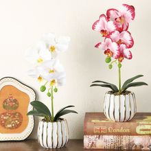 �ߙn���滨����ʽ�ָк����m�Y��YƷ�Ӱ巿�k��ܛ�b�����͏d�ٻ�