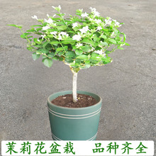 �P�����򪚗U�ΰ����������ذ�������҃�ֲ�ﻨ�绢�^������B