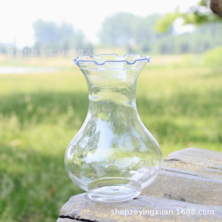 Factory wholesale hyacinth plastic vase daffodil vase water culture bottle hyacinth vase large quantity discount Factory wholesale hyacinth plastic vase daffodil vase water culture bottle hyacinth vase large quantity discount