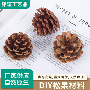 ��Ȼ���ɹ�Փ��ɢ�u�׃��@�ֹ�DiY�����}�Q���b��Ĕz�b[��