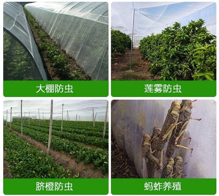 3e7f0fc1-99d2-468c-9be4-2efe00ad08ec.jpe