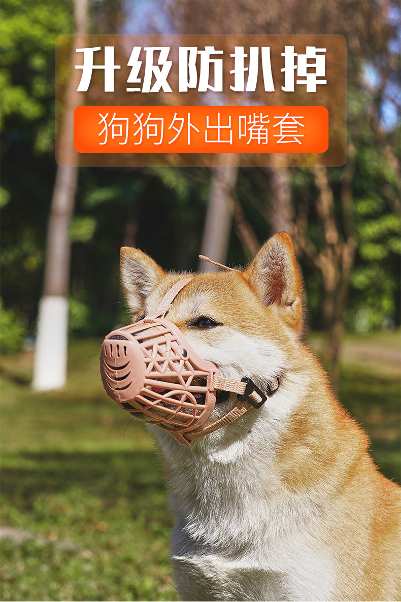 微信图片_20250605212056