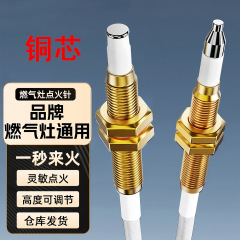 燃气灶点火针打火器通用万能带线感应铜针嵌入式煤气灶具维修配件