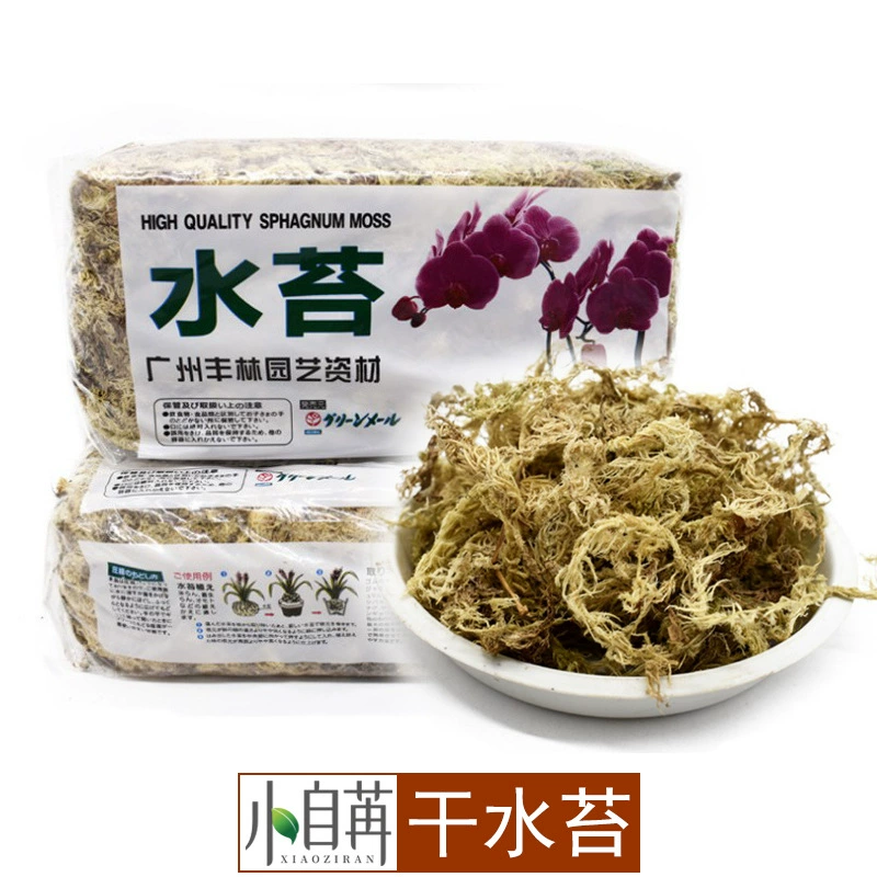 Сухой водный мох водный и наземный резервуар микроландшафтный субстрат для выращивания орхидеи фаленопсис субстрат оптом