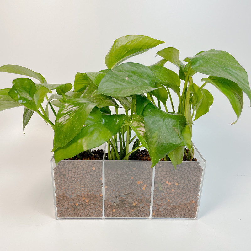 809a49d967360b1961da283e23b1d5