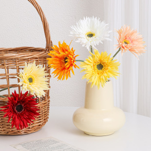 ins�L�������z�� ���޾ո��ʾ�С���º��s�Ҿ��b�c�zӰ����