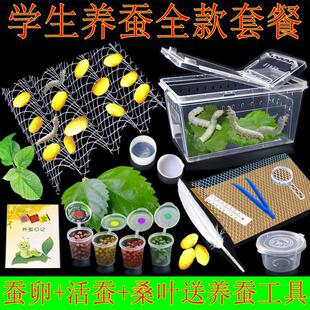 �W���B�Q���b�Q�������w���x�Q���Q�N�Q�������rɣ�~������B���