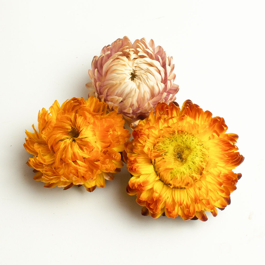 Seven-Color Chrysanthemum Tea 250g Dried Qicai Ju Flowers Loose Herbal Infusion for After-Meal Drinking quality and texture