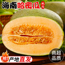 ����ӡ����ϓ����۹� ���l3�ﮔ�����ܹ����r��Ϯ����ЋDˮ��