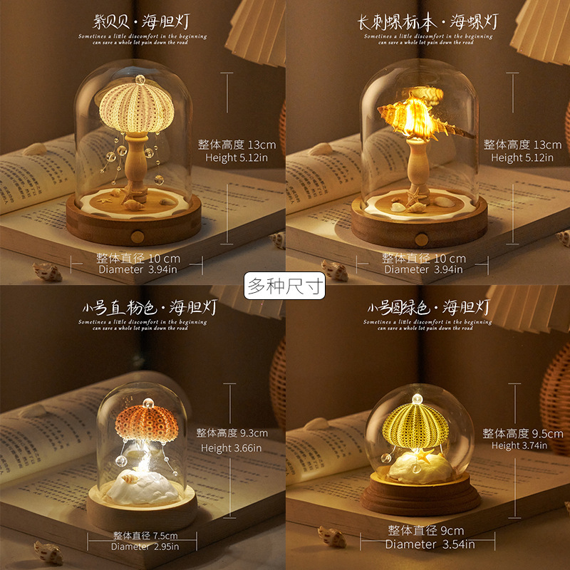 貝海胆ナイトライトガラスカバー完成品 DIY 材料パッケージチームビルディング活動のお供誕生日ギフト装飾品|undefined