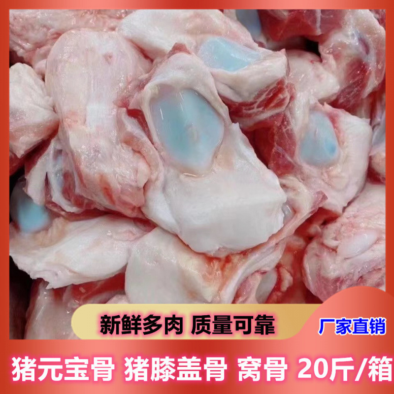 新鲜冷冻猪元宝骨膝盖骨猪窝骨筋酱骨头烧烤酒店20斤商用厂家直销