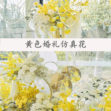 SlSɫYûcٻ·廨Ƶ껨ļٻ滨Sɫ