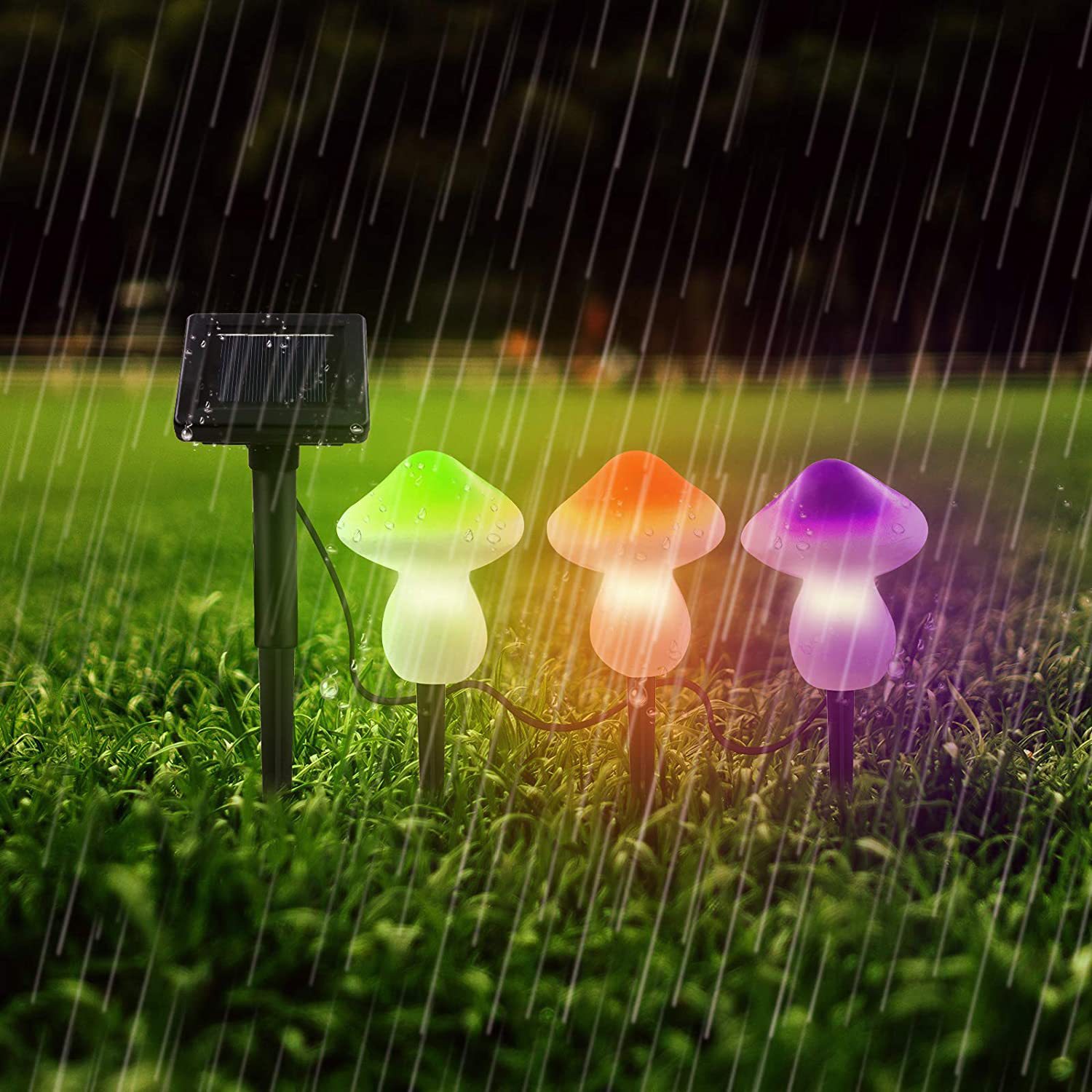 �¿�̫����Ģ���ز��һ���������ˮ��԰ͥԺ԰�ֲ�ƺװ�β�ص�