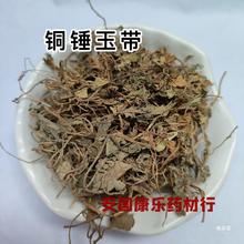 铜锤玉带草  铜锤玉带草 地茄子草 地浮萍马莲草1000克包邮选