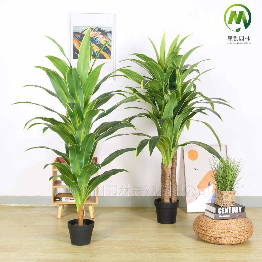 Planta verde de simulación de piso a gran escala, árbol de hierro rojo, madera brasileña, decoración interior, planta de simulación, hierro brasileño de borde amarillo