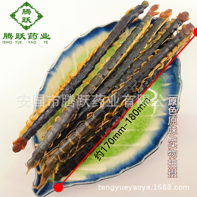 Dried Whole Centipede Wu Gong 500g Chinese Herbal Material Scolopendra Subspinipes Mutilans key features
