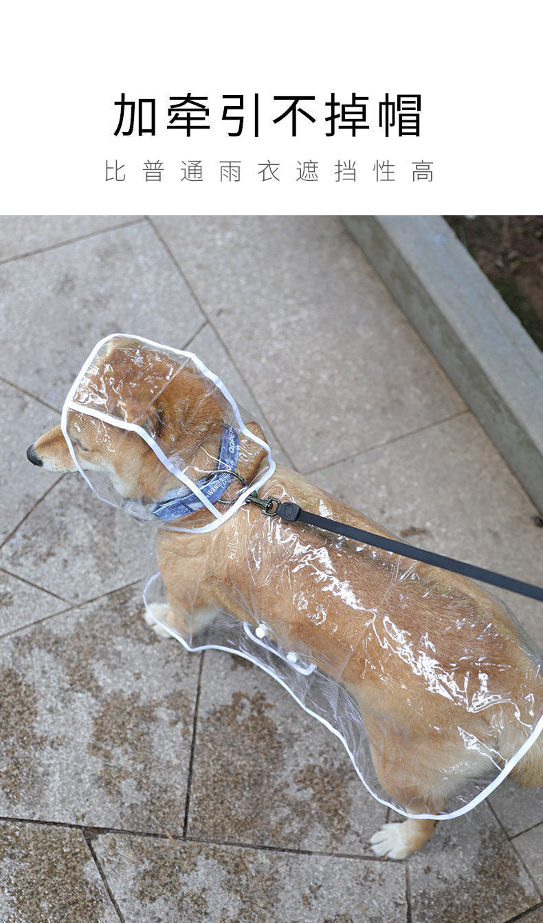 37ee5113-61d5-4af6-8afd-de84b3e22e4e.jpe