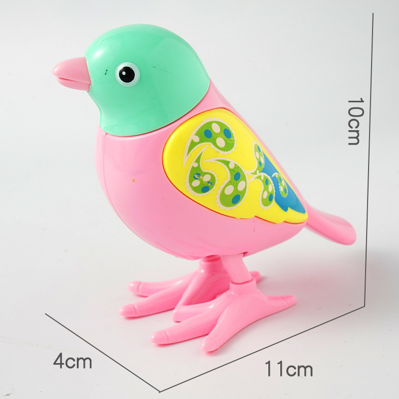 13486176246_1137208612