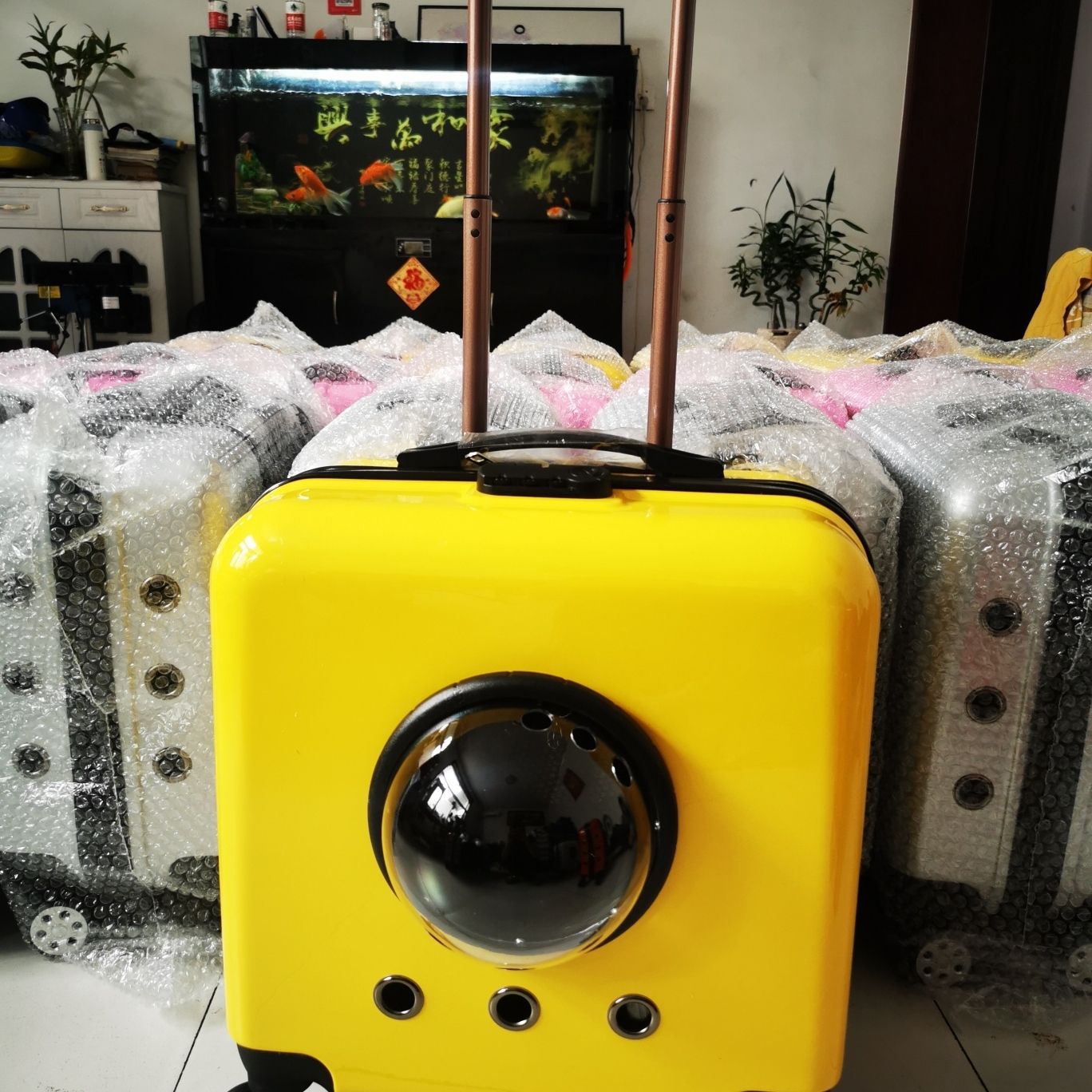 Box Space Capsule Pet Universal Wheel Dog Carrier Cat Outdoor Rolling Su Hong_voghion.com