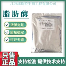 脂肪酶10万u/g脂肪酶制剂食品加工油脂分解酶制剂