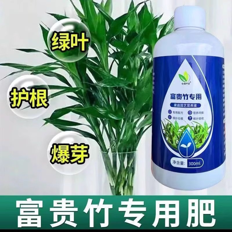리치 대나무 특수 영양액 300ml