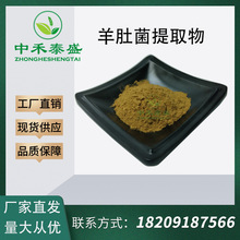 羊肚菌提取物 50:1高比例羊肚菌粉 含10%羊肚菌多糖 羊肚菜提取物