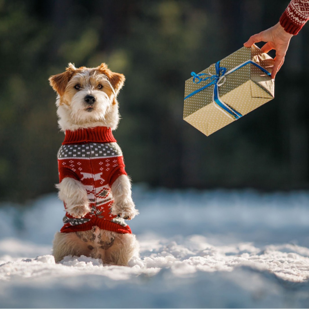 Ropa de mascotas de Navidad Teddy Husky Labrador de pelo dorado británico suéter de invierno y otoño para mascotas suéter de aislamiento térmico