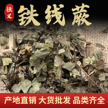 �䱳ș���F��ާ �i�ײ� �F����