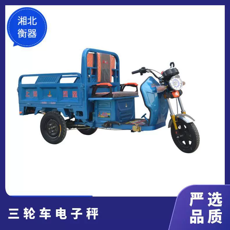 Точность установки масштаба трицикла Электронная Высокая веся систему Установка проводника Электрический масштаб преобразования трицикла